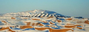 Desert Lotus Hotel Mongolia